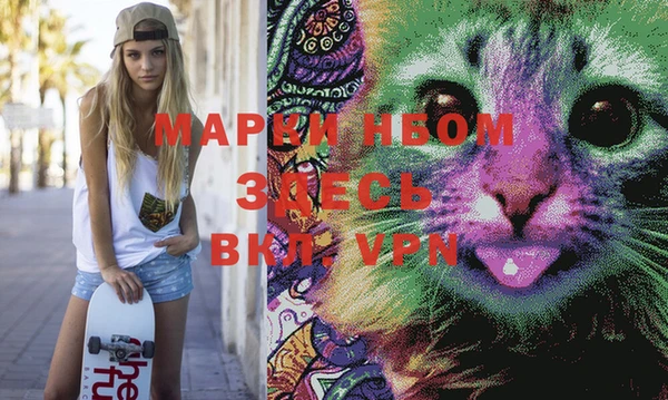 PSILOCYBIN Алзамай