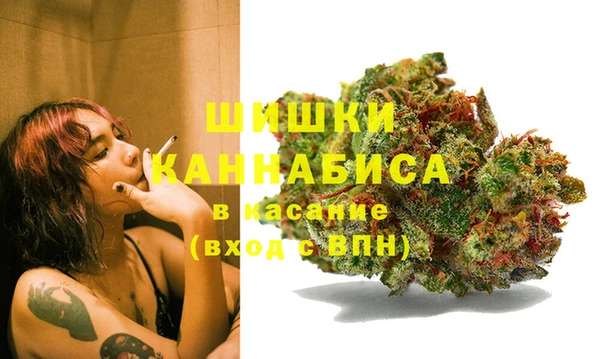 ГАЛЛЮЦИНОГЕННЫЕ ГРИБЫ Алексин